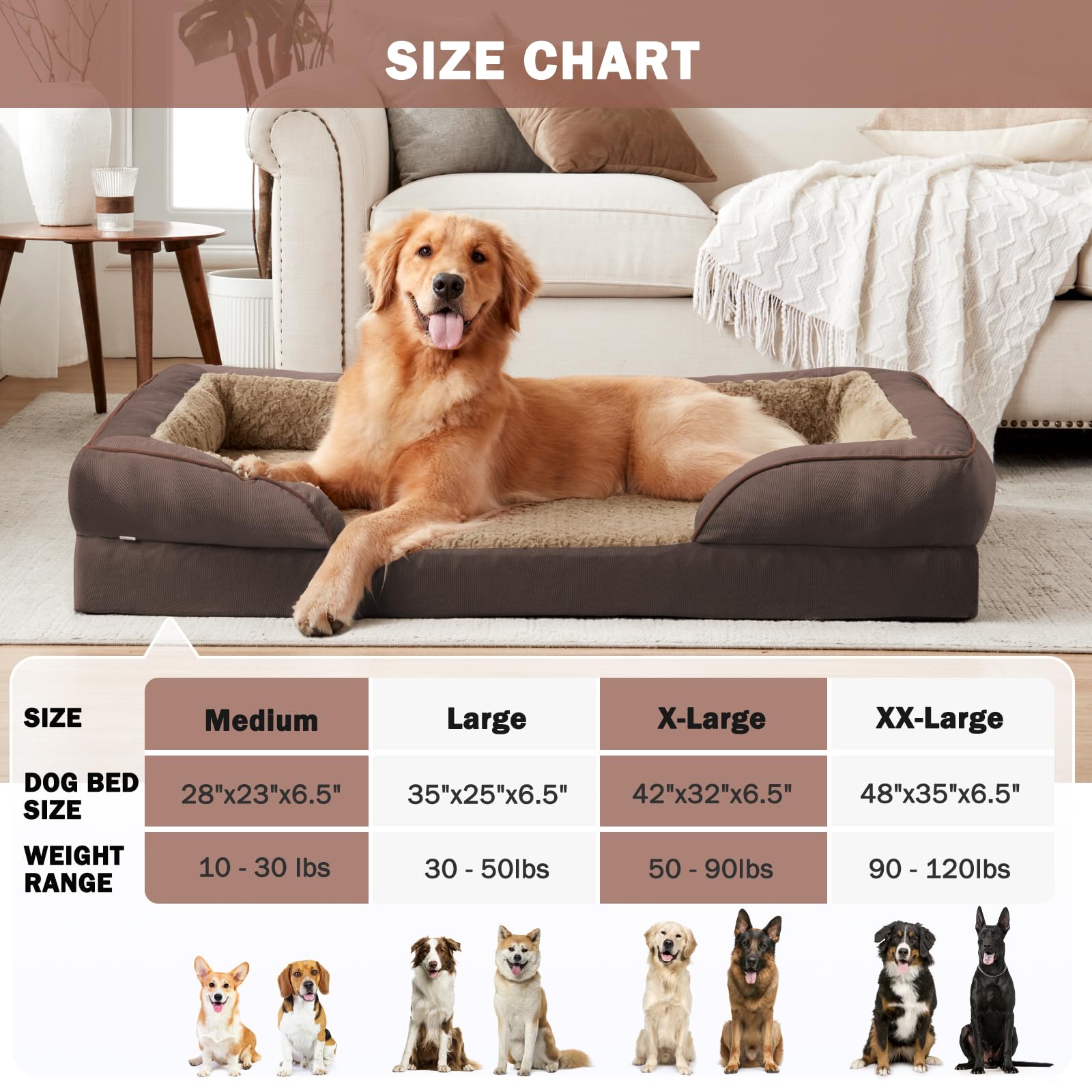 INVENHO Sofá ortopédico para perros medianos, de espuma, con funda extraíble lavable, forro impermeable y parte inferior antideslizante