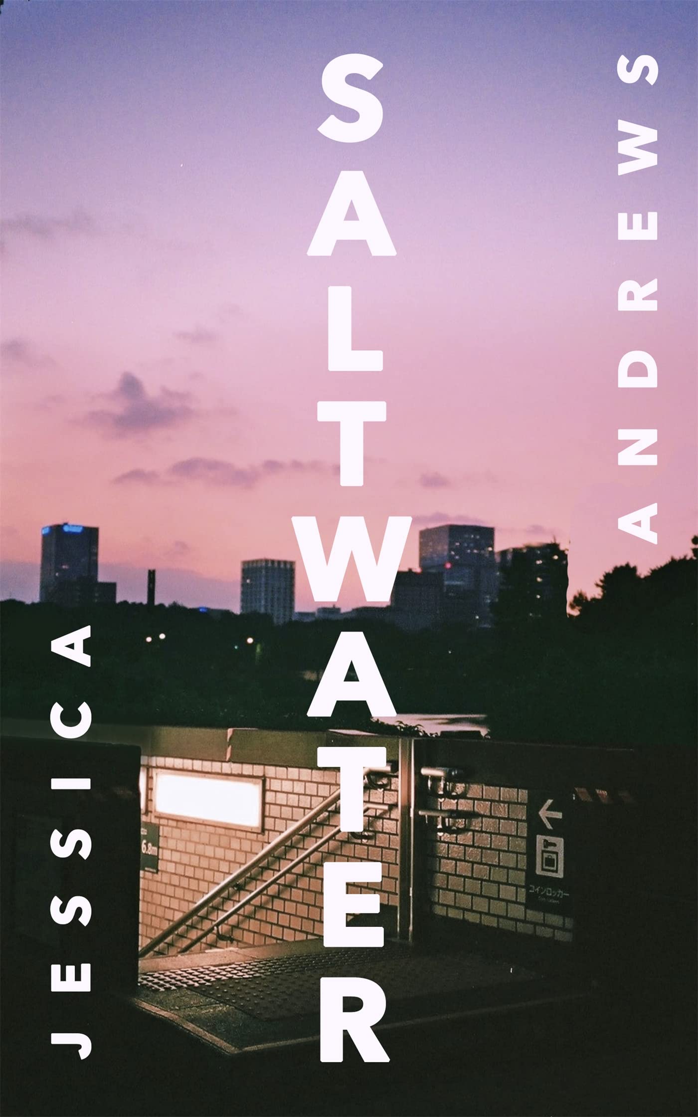 Buy Saltwater: Winner of the Portico Prize — BookShops.in