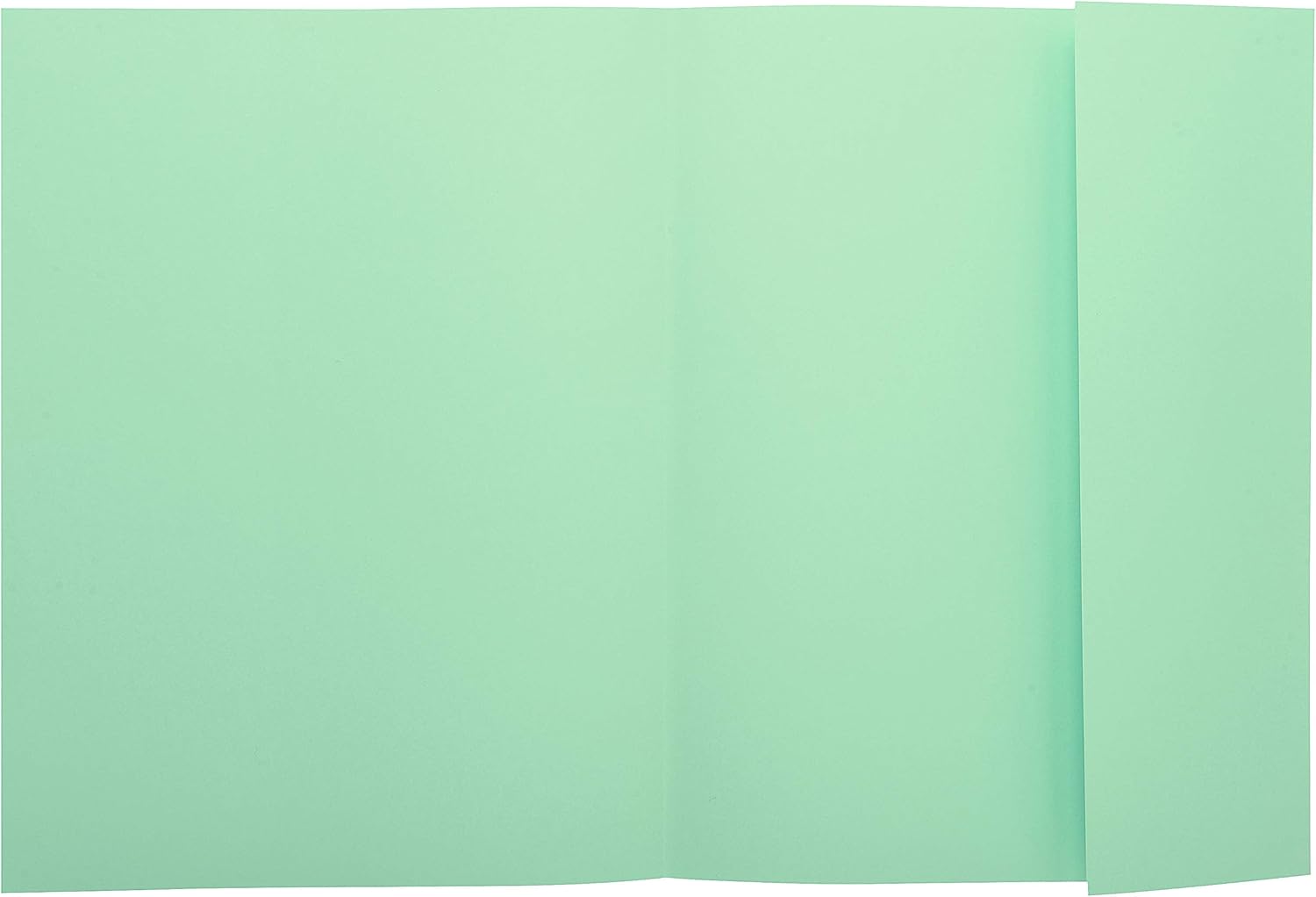 Exacompta Super 250 A4 1 Flap 220 g/m² Pack of 50 Folders 24 x 32 cm 24 x 32 Green