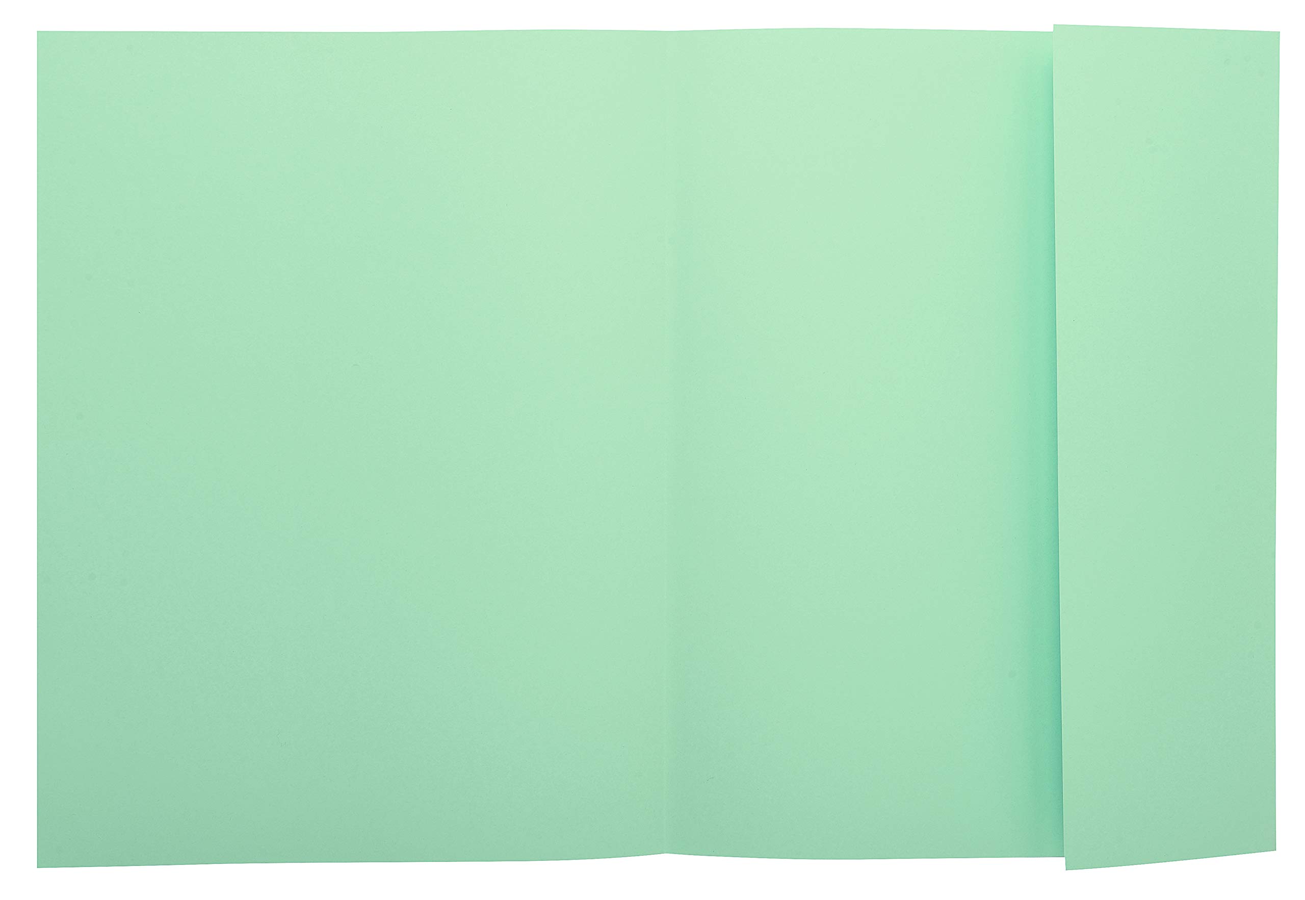 Exacompta, Ref 348004E, Super 210 1-Flap Folders, 240 x 320mm in Size, Suitable for Holding A4 Documents, 160gsm Card - Image 2
