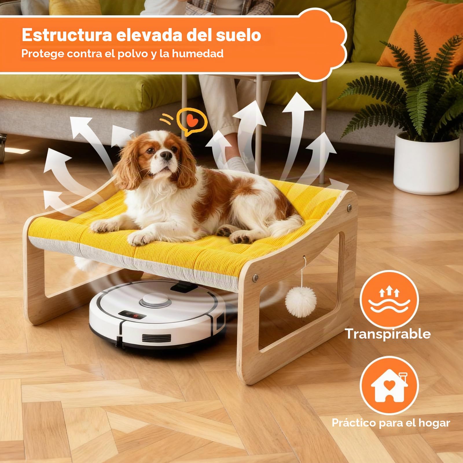 Cama elevada para gatos de madera, sofá para gatos amarillo sol, 53 x 40 cm, silla de gato moderna con funda de colchón extraíble, soporta hasta 15 kg