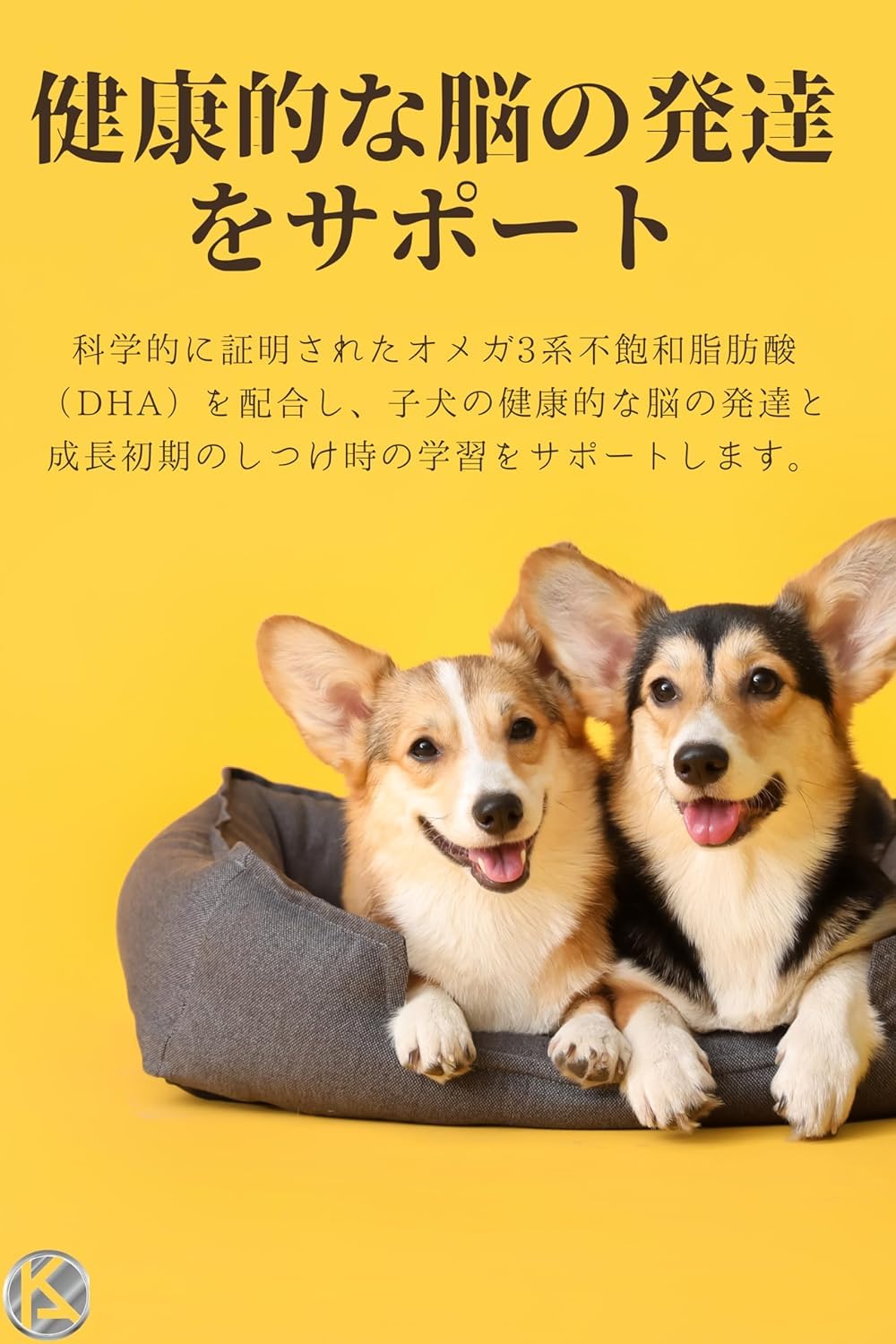 Amazon.co.jp: 【 800g 2袋 】 ロイヤルカナン ミニ インドア パピー