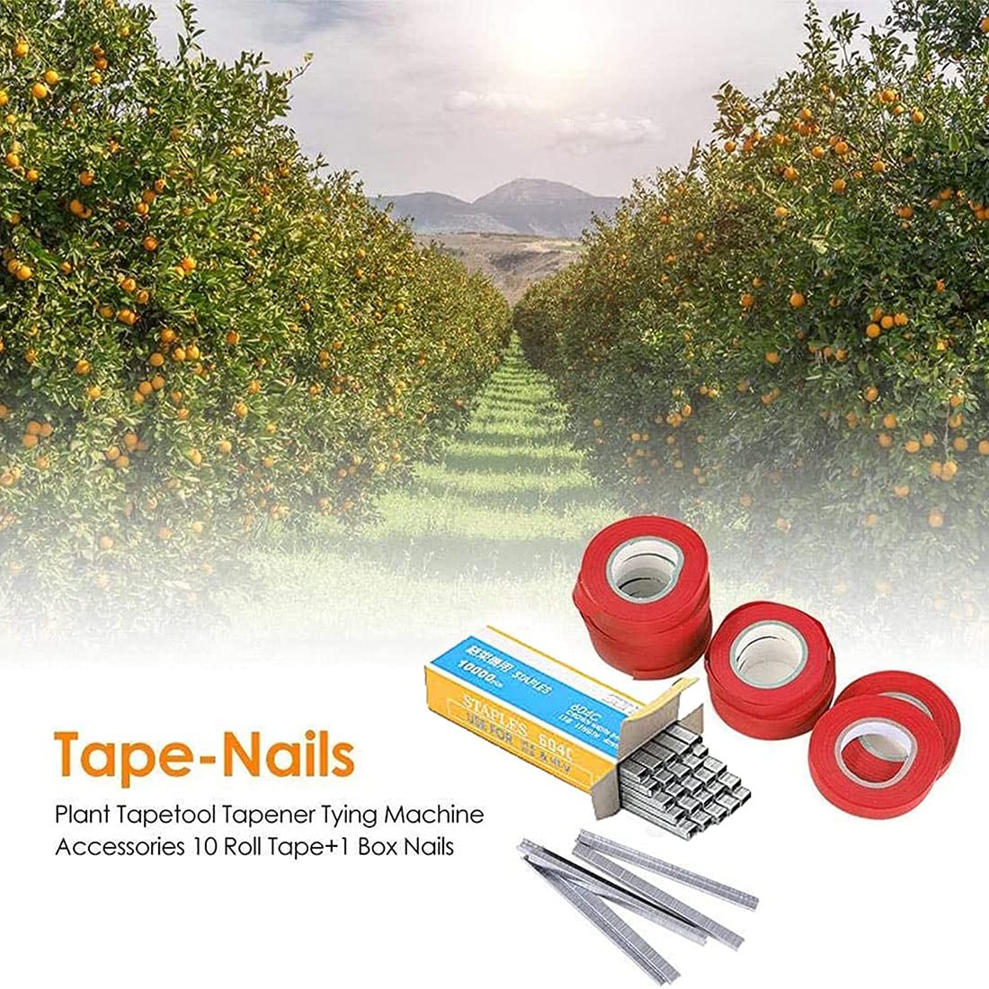 20 Rollos de Cinta para Atar Plantas + 10000 Grapas, Accesorios Universales para Máquina Atadora, Kit de Entutorado para Tomates, Vides, Pepinos, Flores, Ideal para Jardín e Invernadero