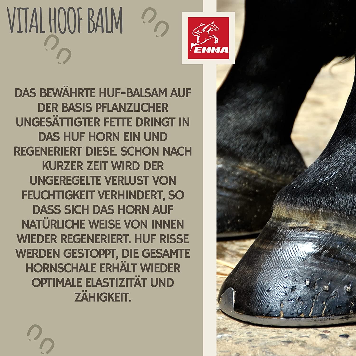 EMMA Shampoing pour chevaux I Kit d'entretien poney I Shampoing chevaux Fourrure Crinière Queue Rose & Parfum I Graisse de sabot pour chevaux rose I Baume pour sabots pour chevaux I Cadeau pour