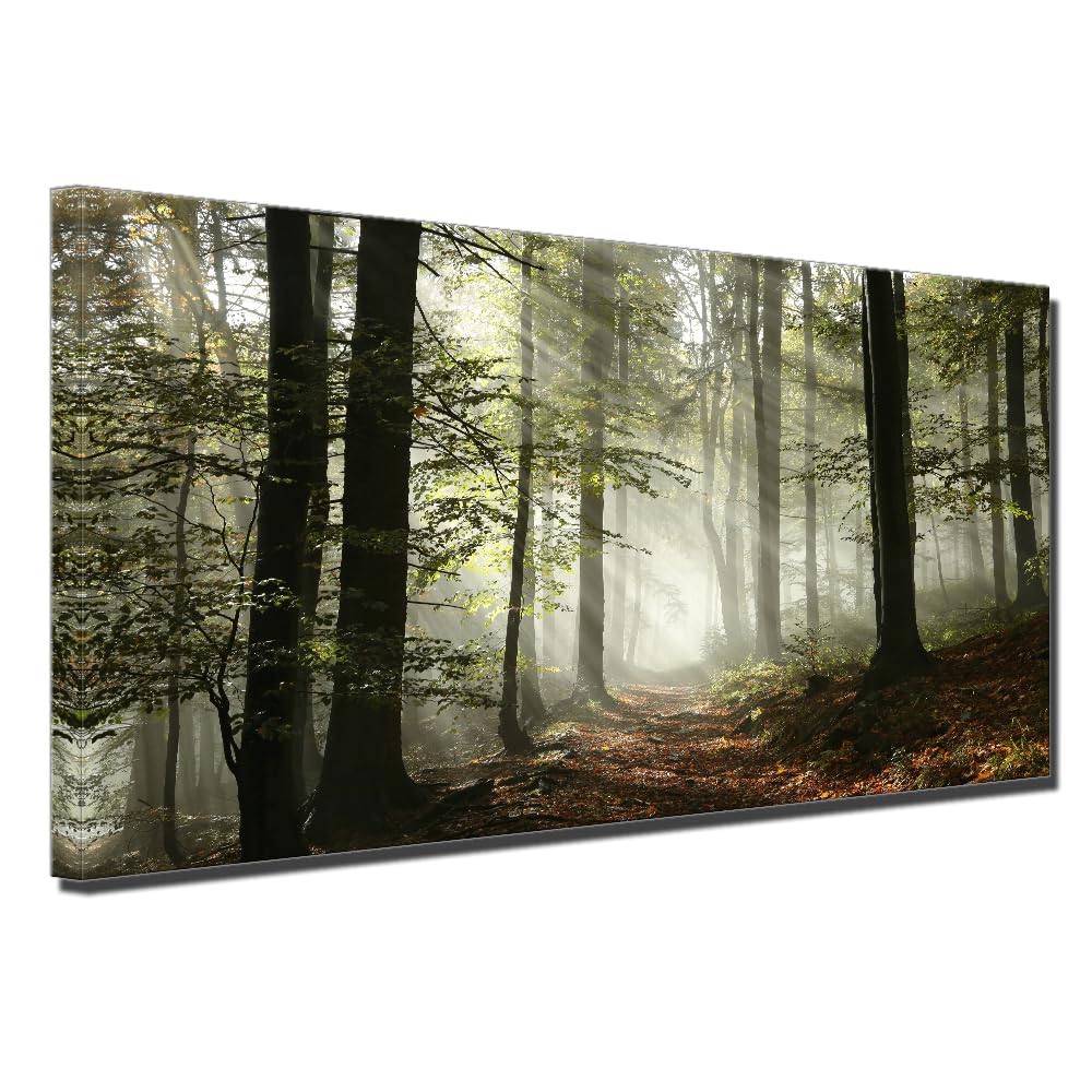 Foggy Forest Canvas Wall Art Home Office Decorations Foggy Forest Canvas Wall Art Smoky Pine Tree Landscape Picture for Living Room Family Room Wall