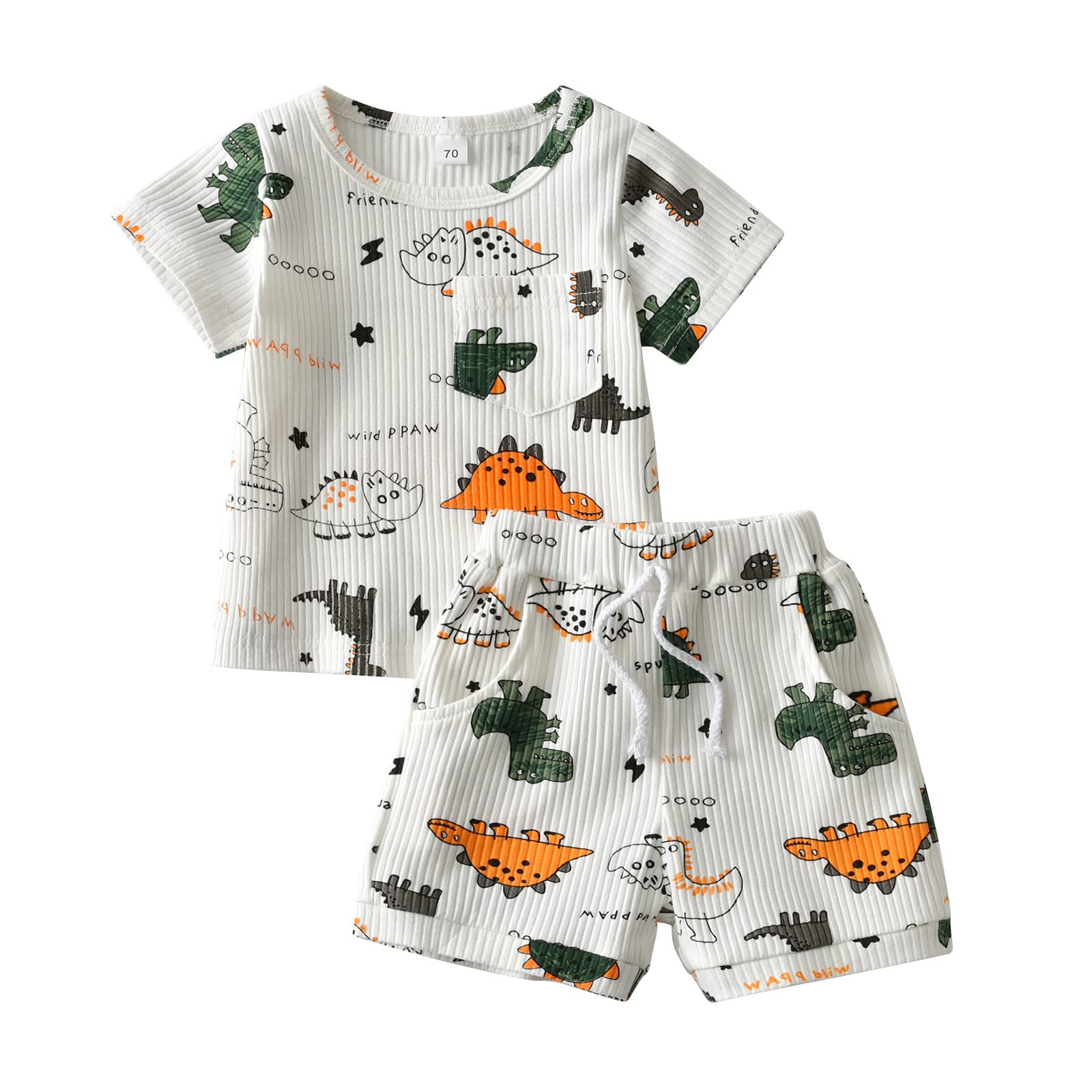 FupalityBaby Boy Summer Clothes Dinosaur Print Short Sleeve Tops + Casual Shorts Outfit Set