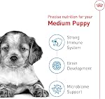 Royal Canin Taille Santé Nutrition Chien sec moyenne Alimentation, 4 Voir lb