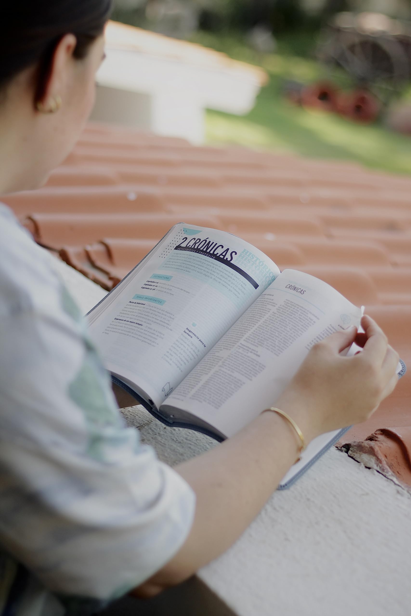 La Biblia Telos para Jóvenes: Nueva Version International, Gris, Leathersoft, Una guía para el estudiante a través de las Escrituras, Comfort Print