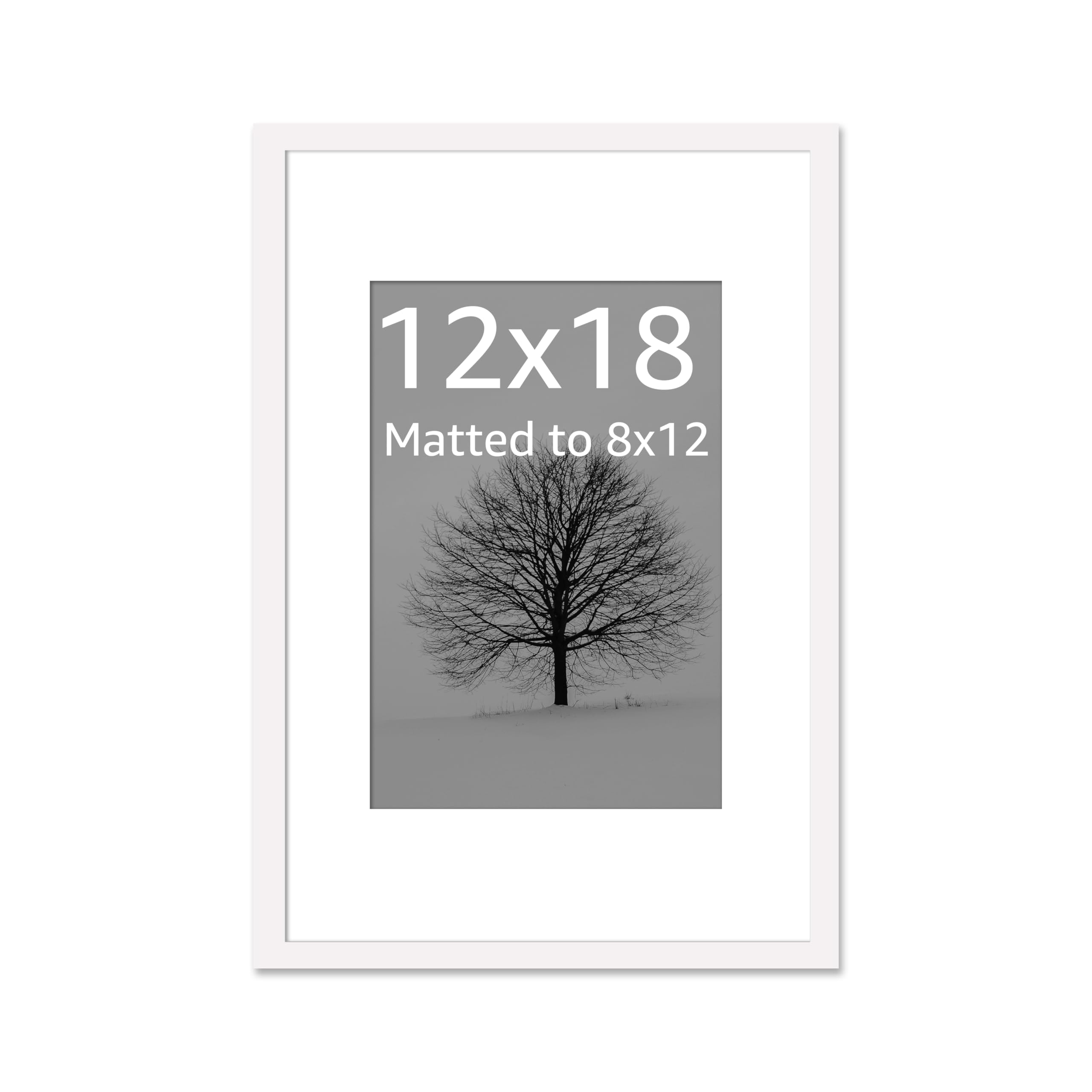 Art Street Synthetic Document Large Size Wall Photo Frame, Set of 1 Big Frames For Wall Artwork, Certificates, Picture & Photographs Home Decor (12x18 Inch, Matted To: 8x12 Inch, White)