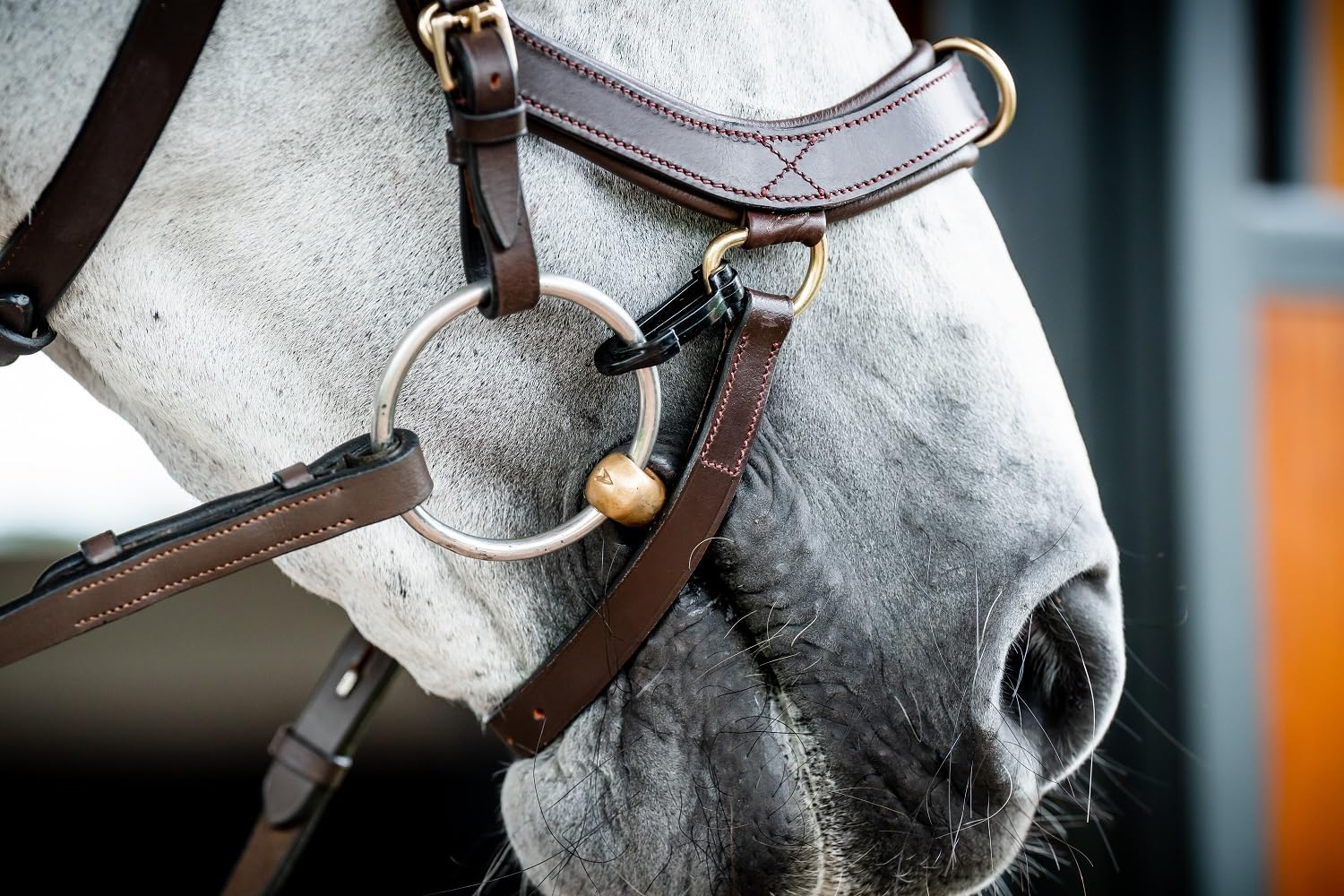 Horseware HW Micklem2 Multi Bridle, X-Warmblut, Dark Havanna