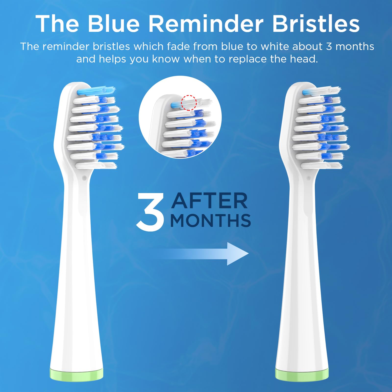 Paquete de 8 cabezales de repuesto para cepillo de dientes Waterpik Sensonic Complete Care CC-04CD010-1, y para cepillo de dientes eléctrico Waterpik Sensonic STW-03W020/STW-03W027, con