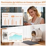 Ver la foto 2