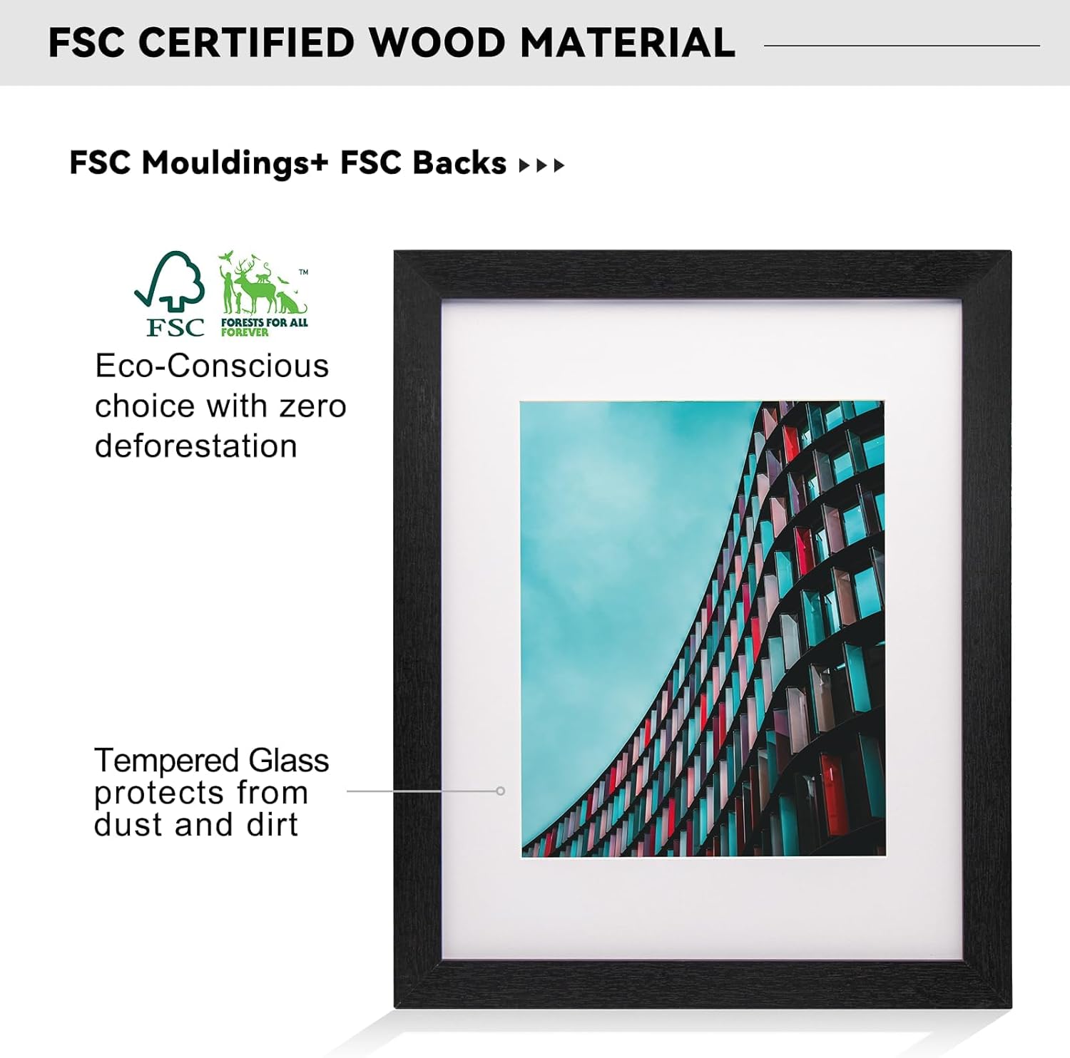 Boarding 12X16 Picture Frame with Shatter-Resistant Glass - Use as Frame for 9x12 Photo with Mat or 12 x16 without Mat,Sylvan Collection,Photo Frames for Wall Display (Black, 12X16)