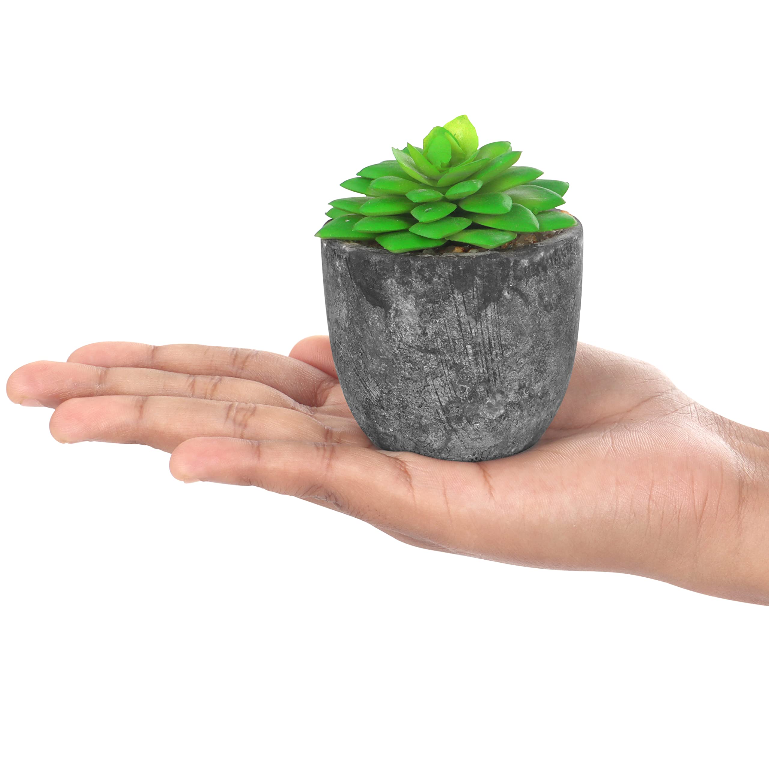 Lot De 8 Plantes Miniatures Pour Maison De Poupée 1:12 – Bonsaï Et Succulentes En Résine, Décoration De Jardin Miniature