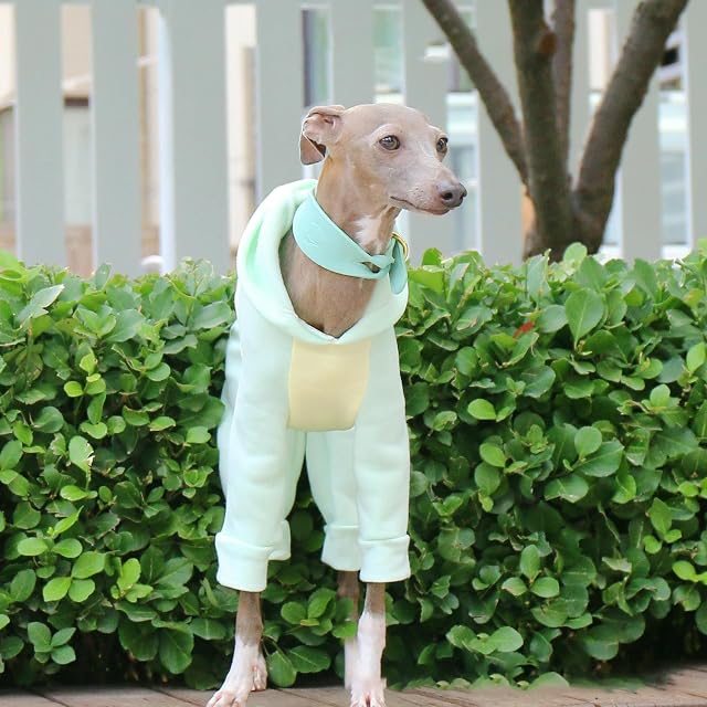Foto 6 de 6 de IUOUTG Supuestador De Galgo Italiano, Sudadera para Perros De Whippet Whippet De Whippet