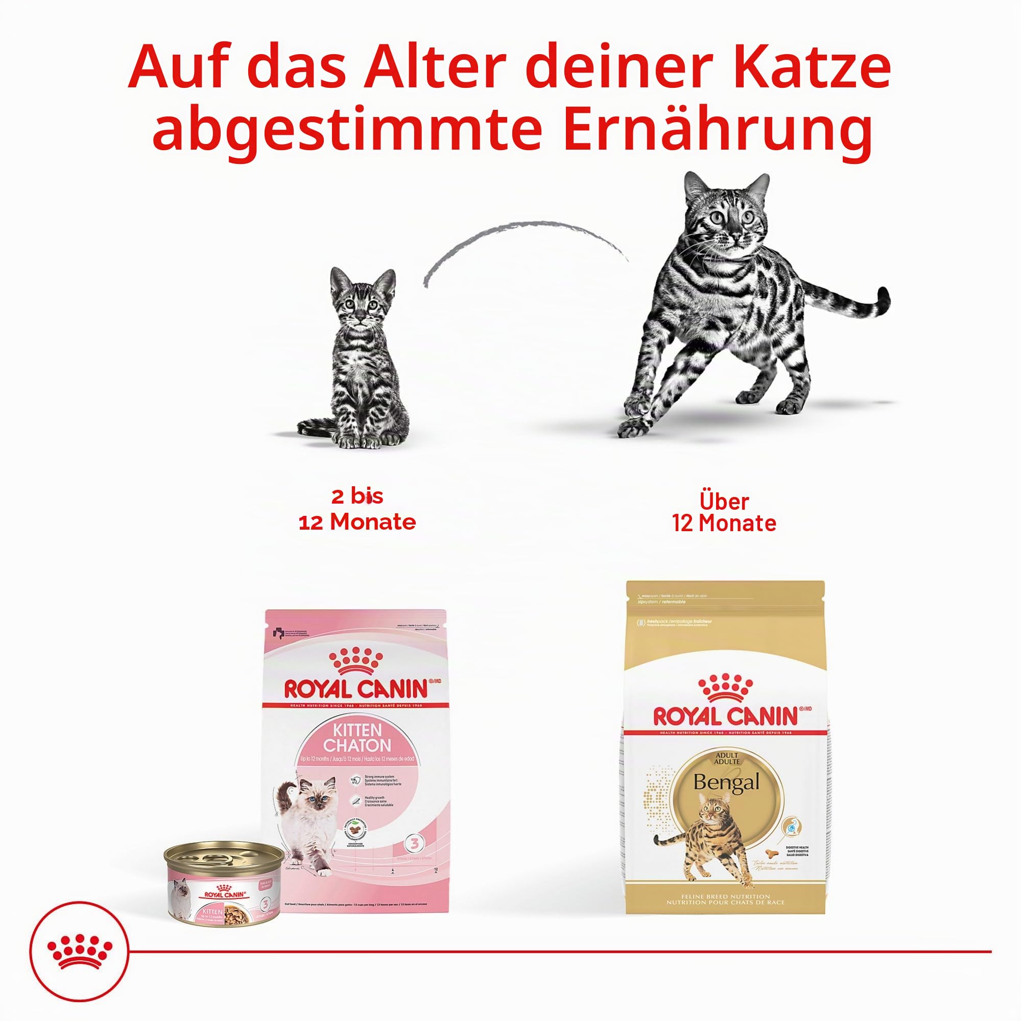 Royal Canin Bengal Breed Adult Trockenfutter für Katzen, 3,2 kg Beutel