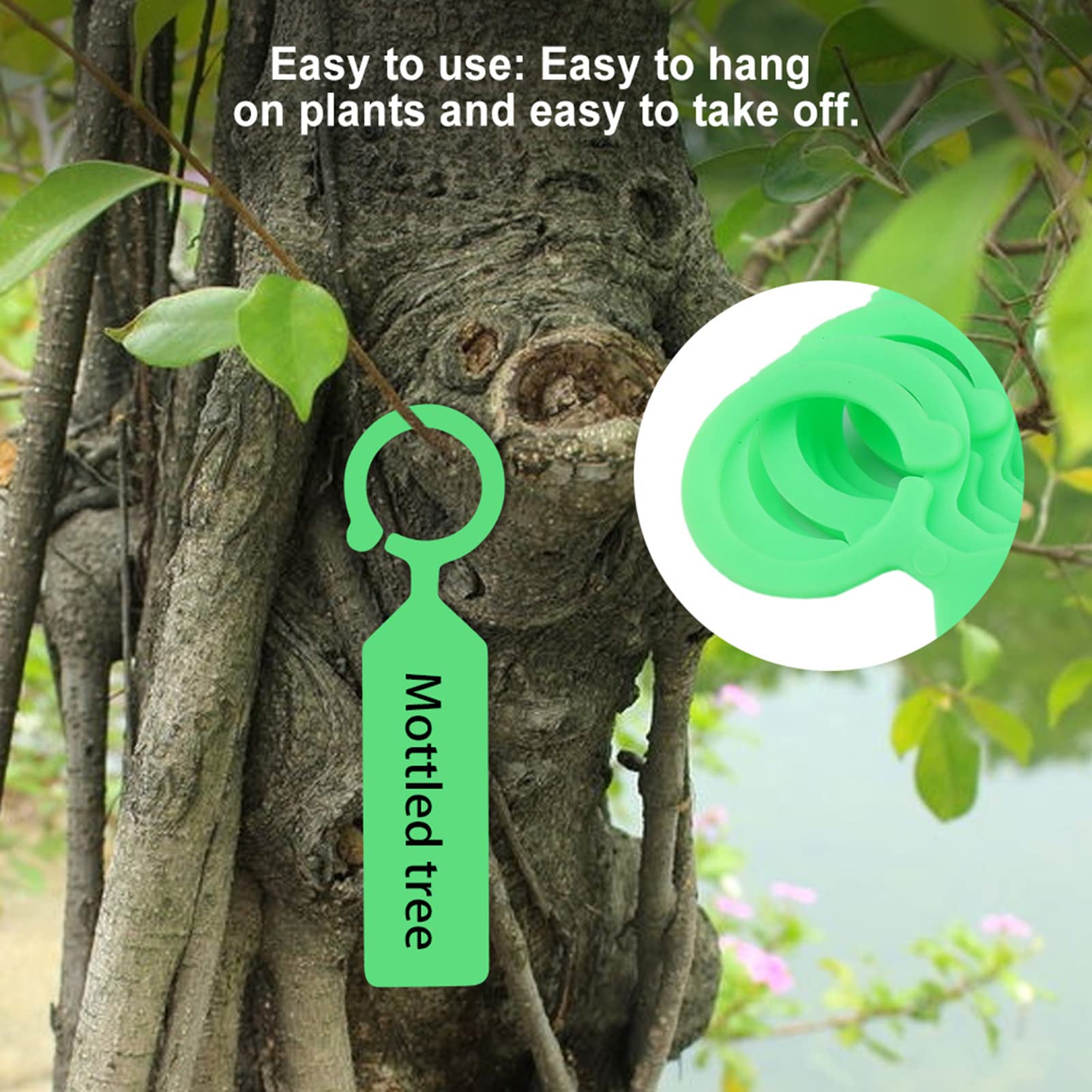 Marcatori Per Piante In Legno - Etichette Da Giardino Con Molletta - Per Semi, Fiori E Orto - Foto 5