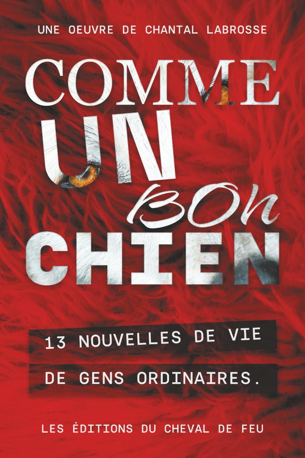 Comme un bon chien
