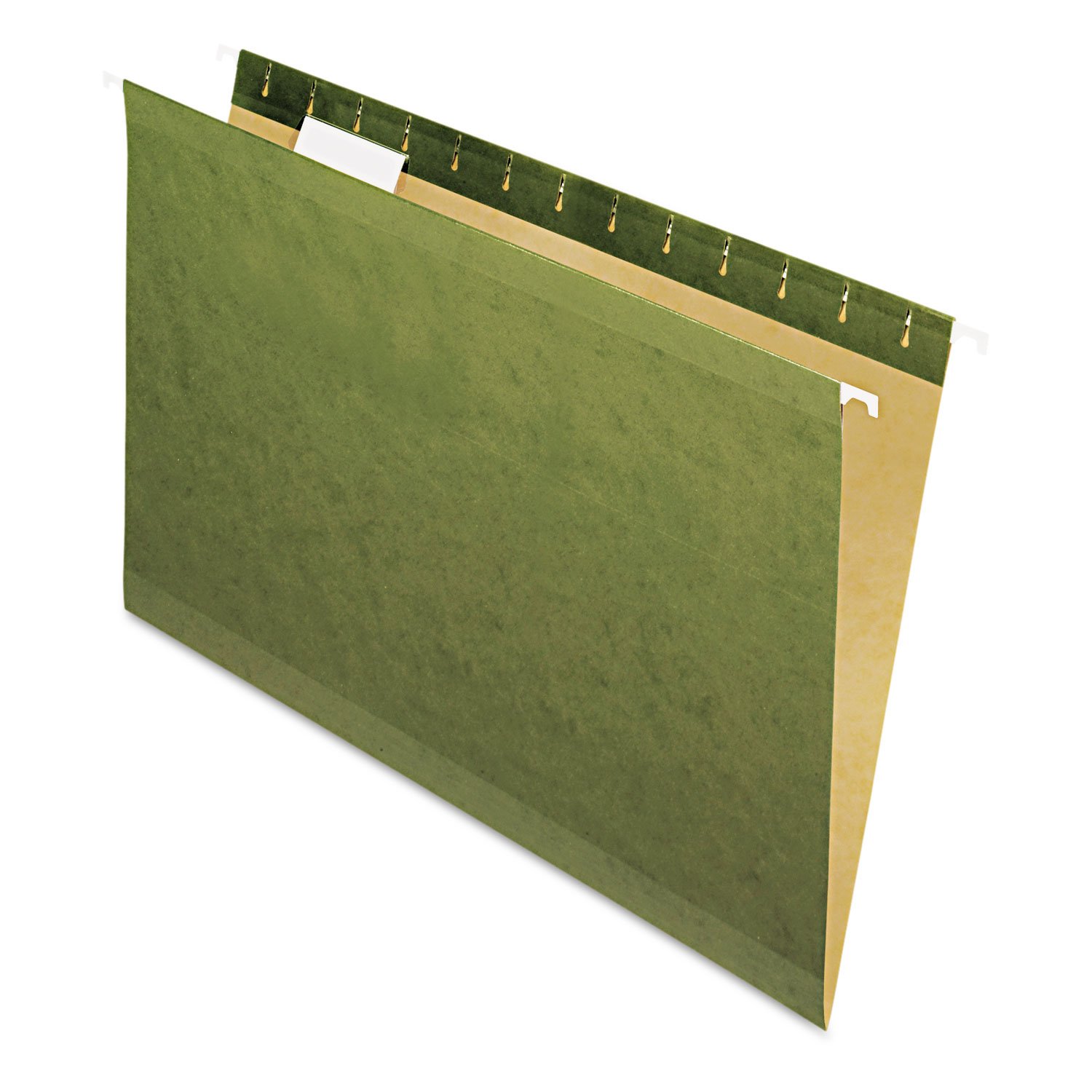 Pendaflex 4153 reinforced cartella sospesa, no Tab, Legal, standard Green, 25/Box