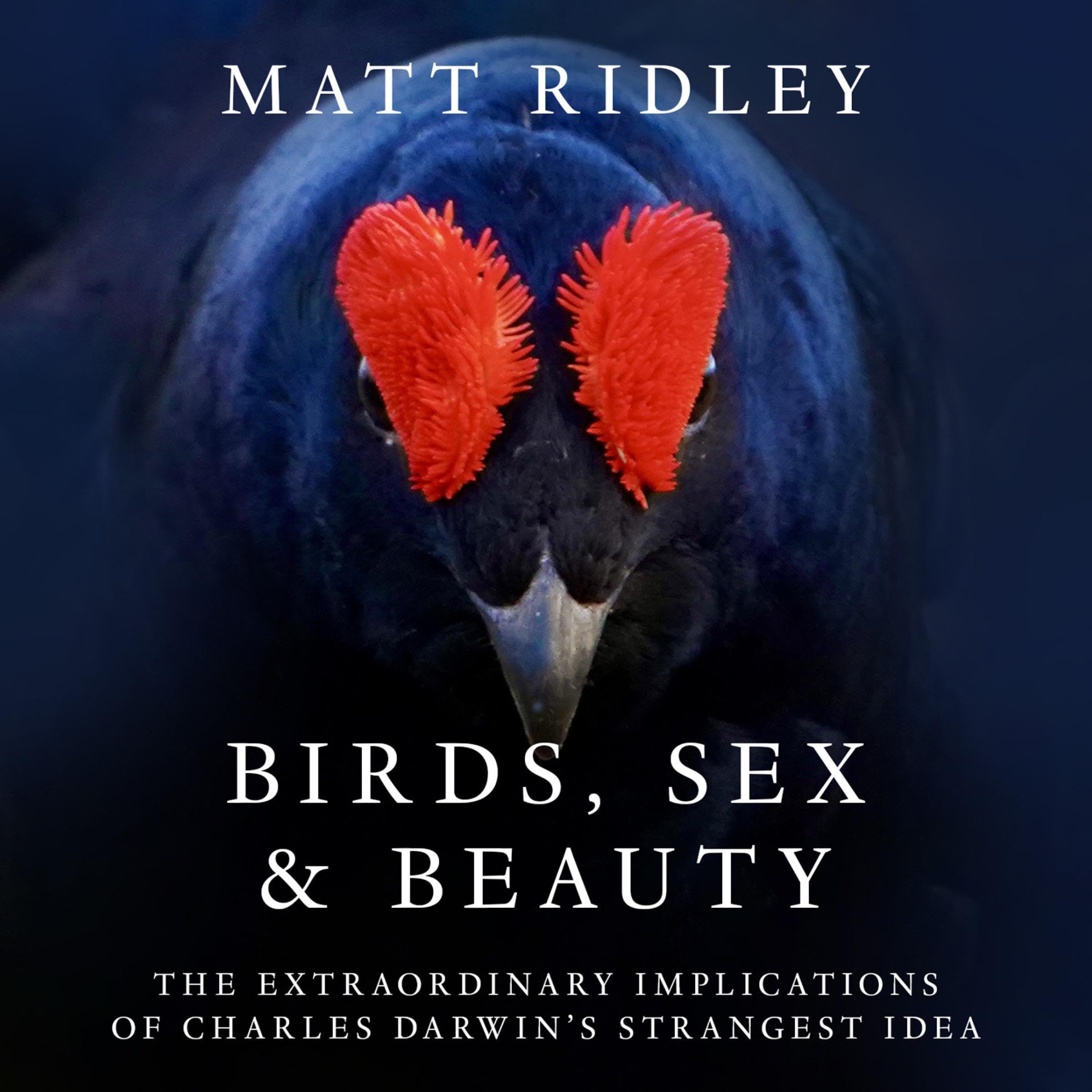 Birds, Sex and Beauty