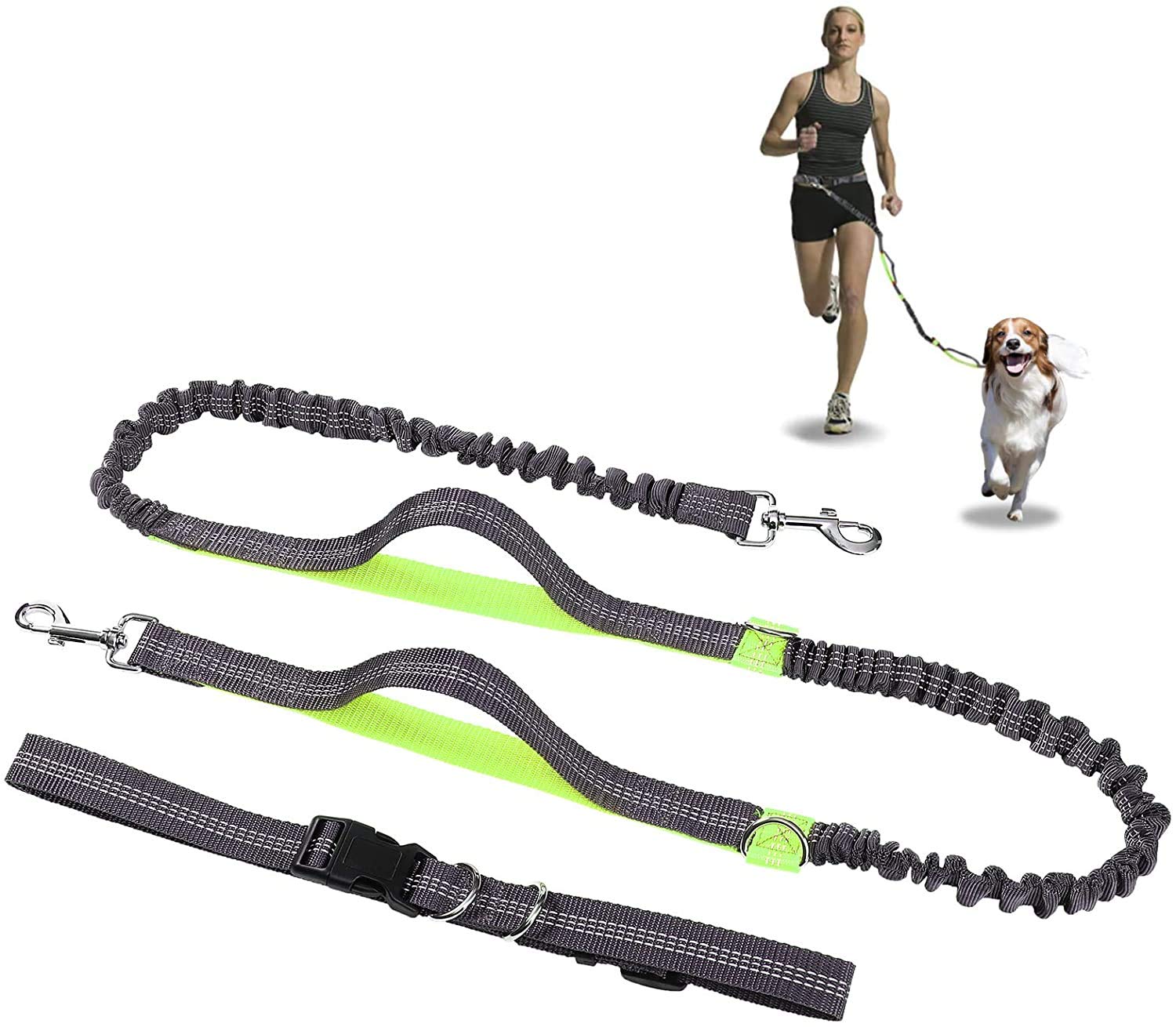 CGG Hands Free Dog Lead with Reflective Bungee,Adjustable Waist Belt,Dual-Handle Dog Leash for Walking Running Training,Suitable for Large Medium Small Dog (GREEN)