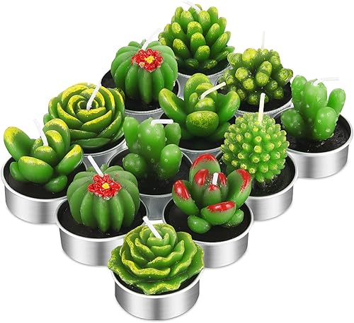 TecUnite 12 velas de cactus hechas a mano, delicadas velas de cactus suculentas, sin humo, velas de plantas para decoración del hogar, cumpleaños,