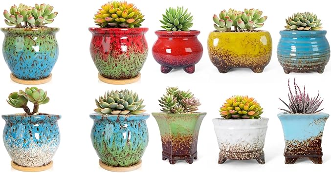 ARTKETTY Succulent Pots - 10 Pack Small Plant Pots with Drainage Tray, Ceramic Pots for Indoor Plants Colorful Cactus Flower Planters, Gifts for Women