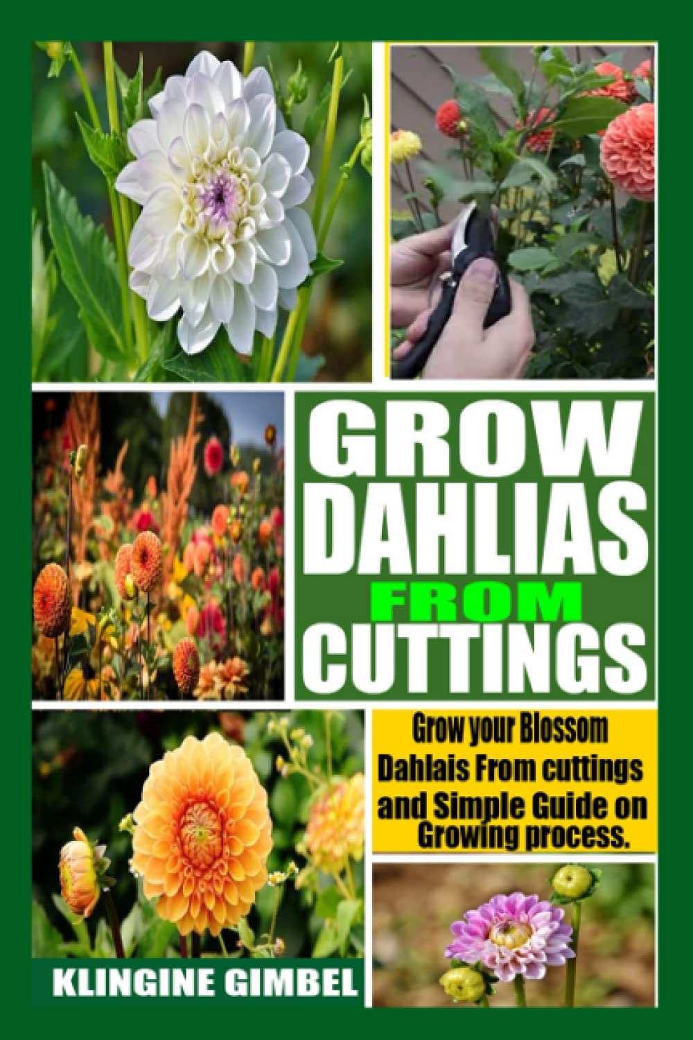 GROW DAHLIAS FROM CUTTINGS: Grow your Blossom Dahlias from Cuttings and Simple Guide on Growing process.