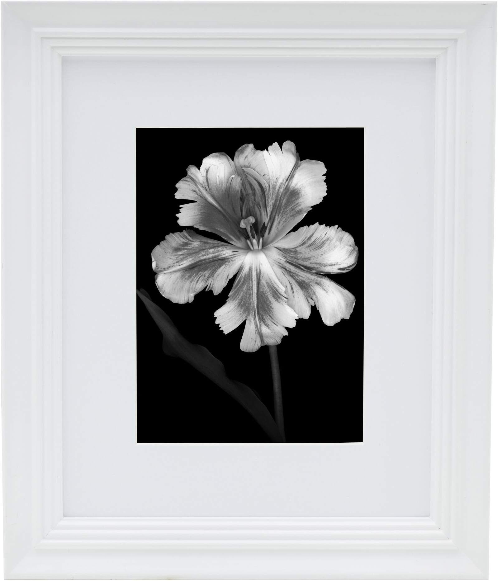 Studio NovaPicture Frame Displays 5 x 7 Photos 8 x 10 Without Mat, 8x10-Matted 5x7, White