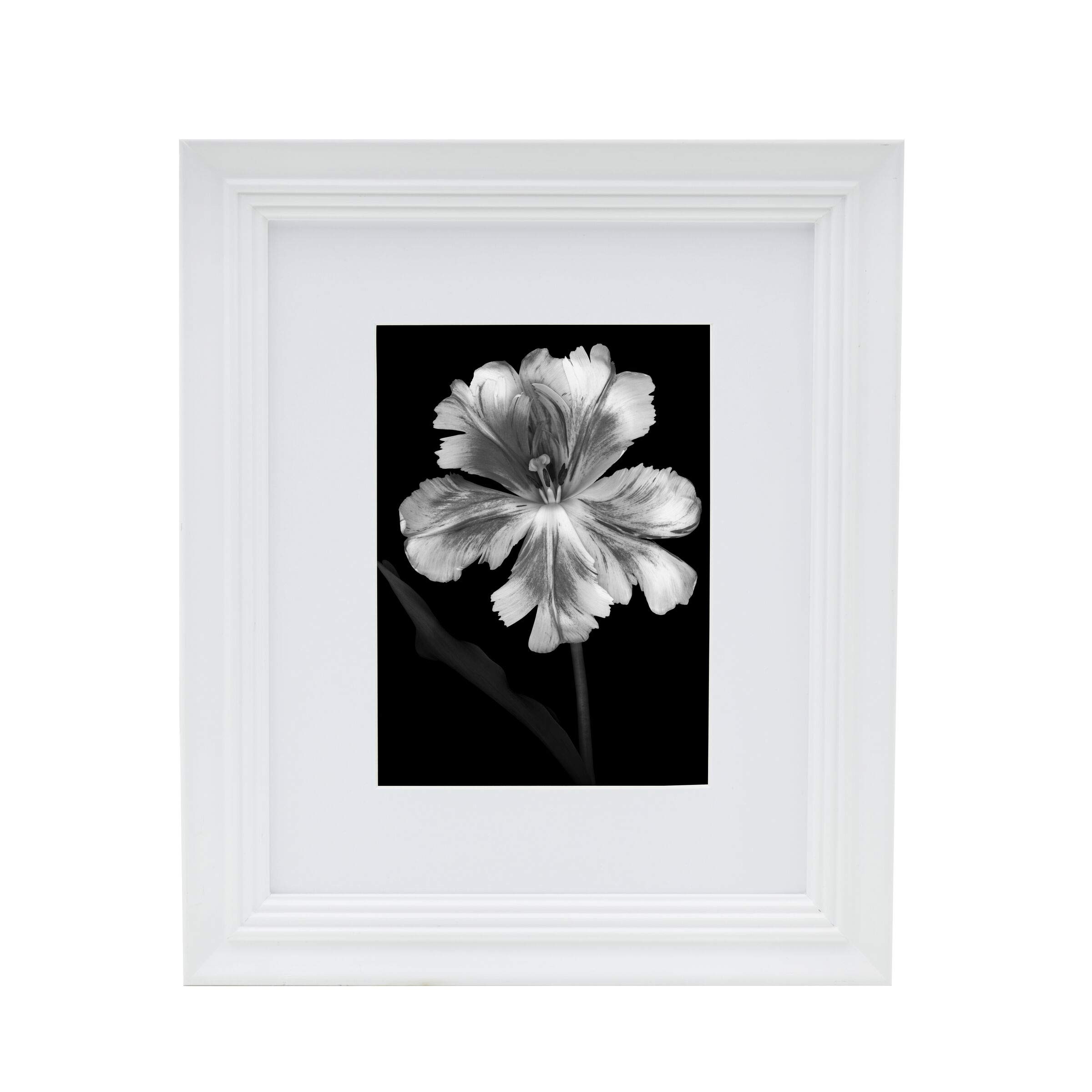Studio NovaPicture Frame Displays 5 x 7 Photos 8 x 10 Without Mat, 8x10-Matted 5x7, White