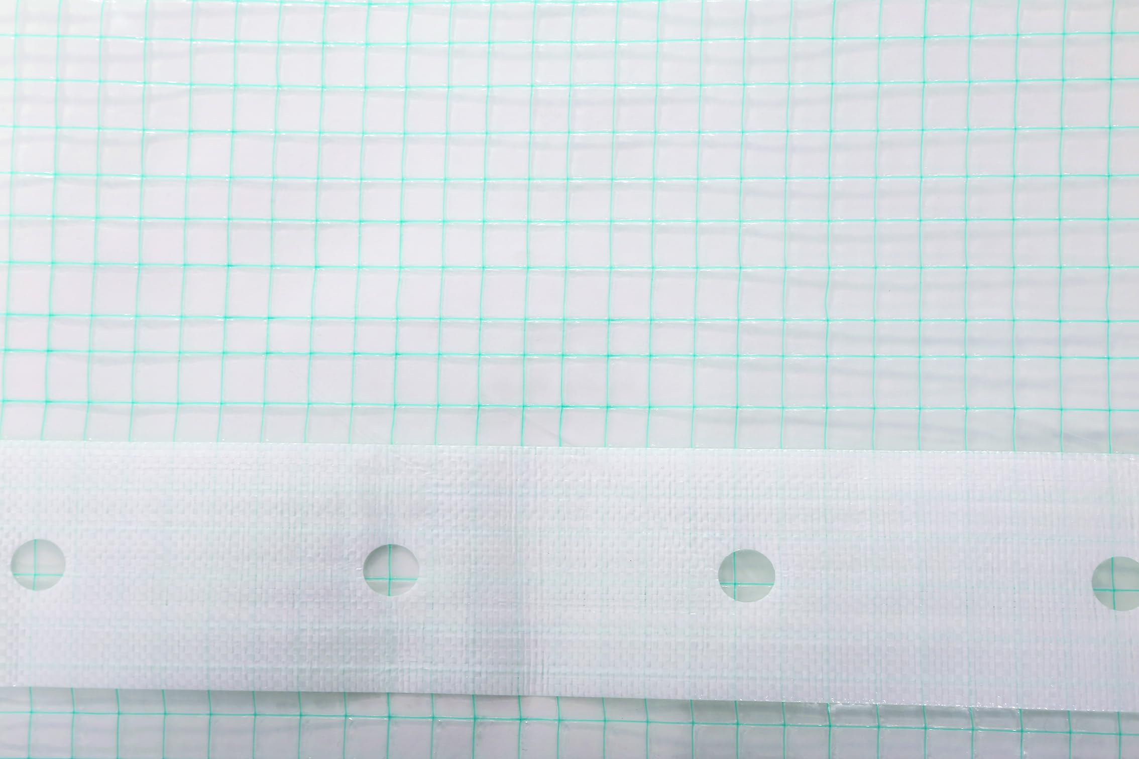 EraGreen Lámina de rejilla de 1,5 m x 10 m – 280 g/m², resistente al desgarro, con borde de clavo, lámina de jardín resistente a los rayos UV para tomates y viveros, lámina de tejido