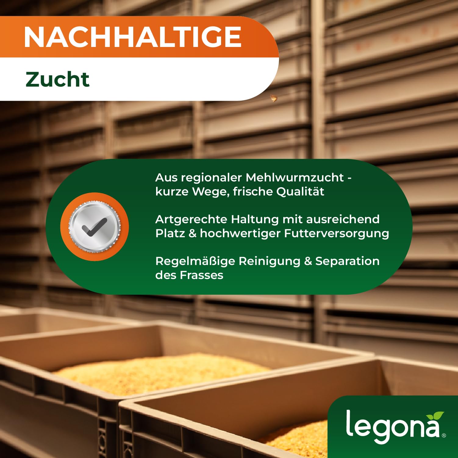 Legona Mehlwürmer lebend 1 kg - Futterinsekten für Terrariumtiere und Hühner - Tenebrio Molitor Larven - In Thermobox verpackt, kühl lagerbar