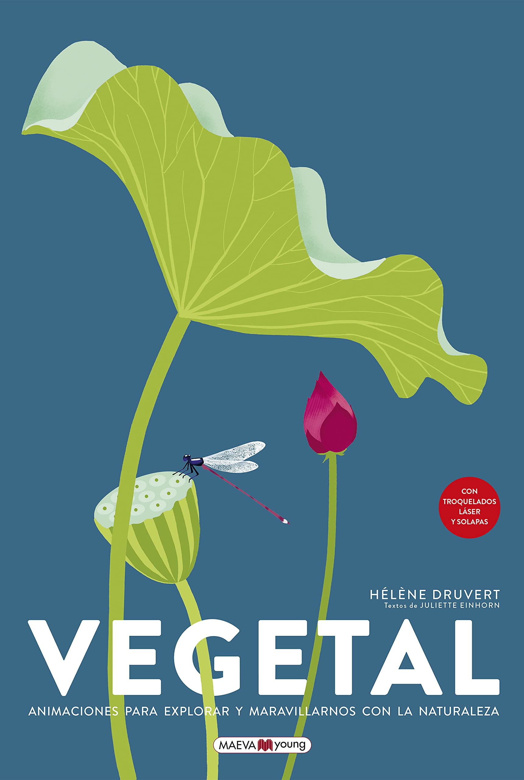 Vegetal: Animaciones para explorar y maravillarnos con la naturaleza (Libros para los que aman los libros)