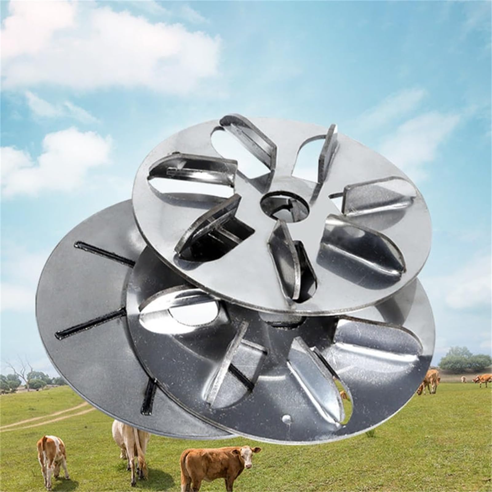 Lot de 3 disques pour enlever les poils de porc - Outil d'épilation de cochon en métal - Pour atelier familial, poule, mouton, bétail, porc, boucher