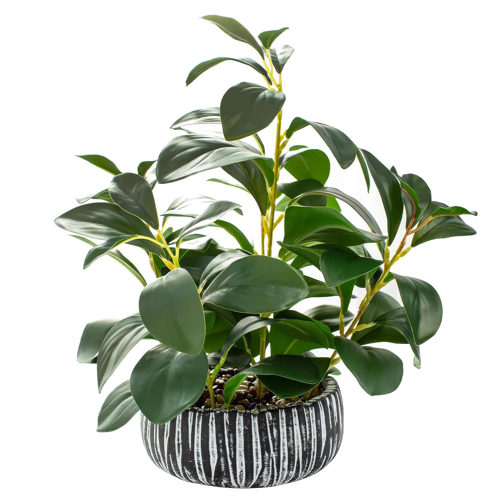 Blomza Banyan Tree 17 × 17 × 30 Cm Lifelike Fake Succulent With Planter – Farmhouse Style Indoor Tabletop Decor (Banyan Tree 17 × 17 × 30 Cm)