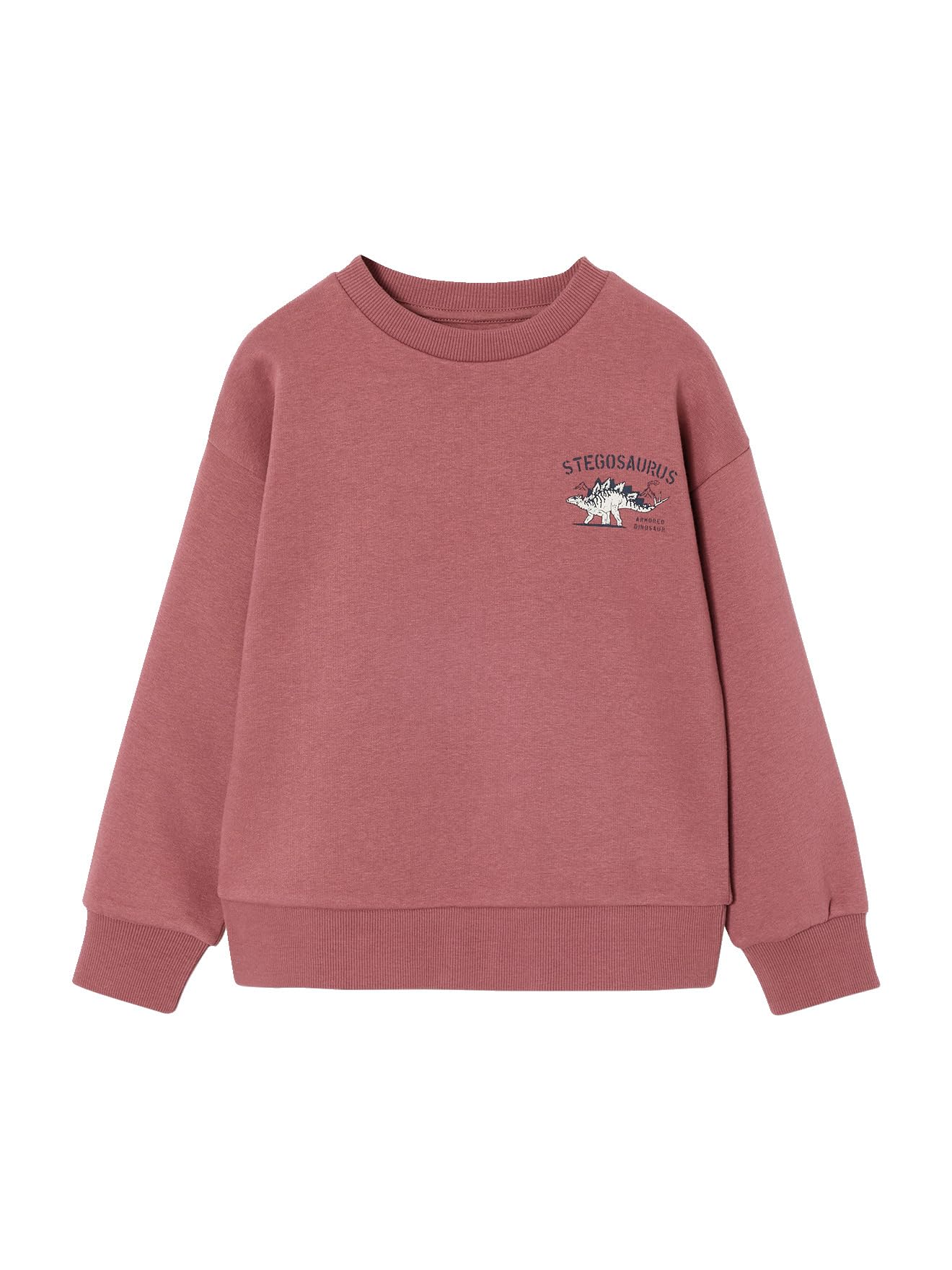 VERTBAUDET Lot de 2 Sweats Cool and Fun