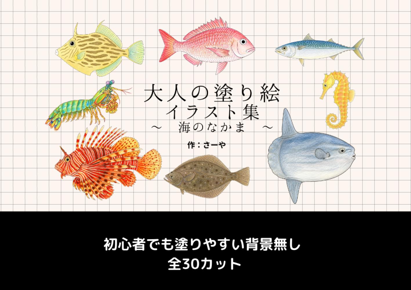 大人の塗り絵 イラスト集 ～海のなかま～: 初心者でも塗りやすい背景無し 全30カット