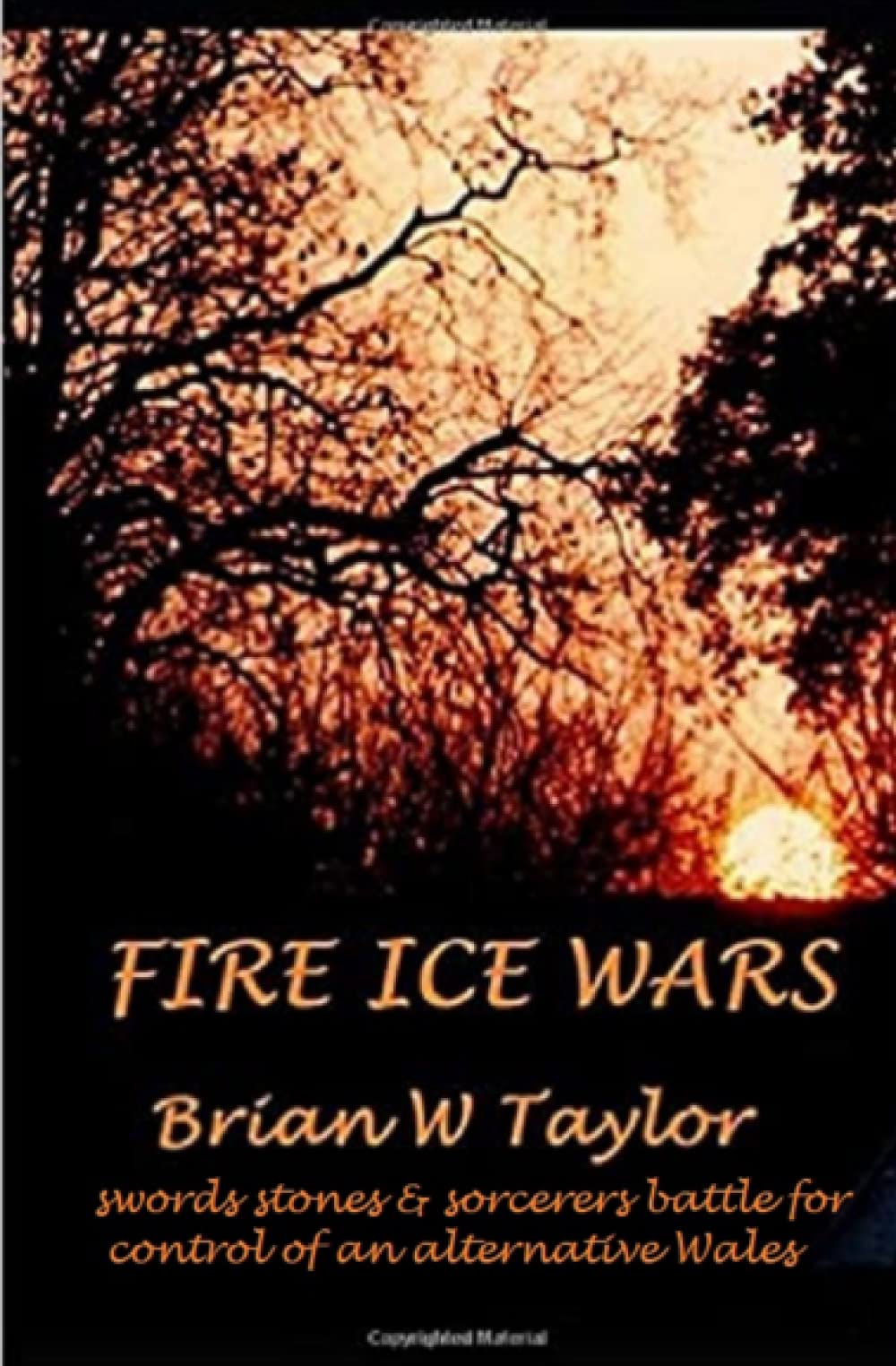 Fire Ice Wars (Reluctant Time Travellers)