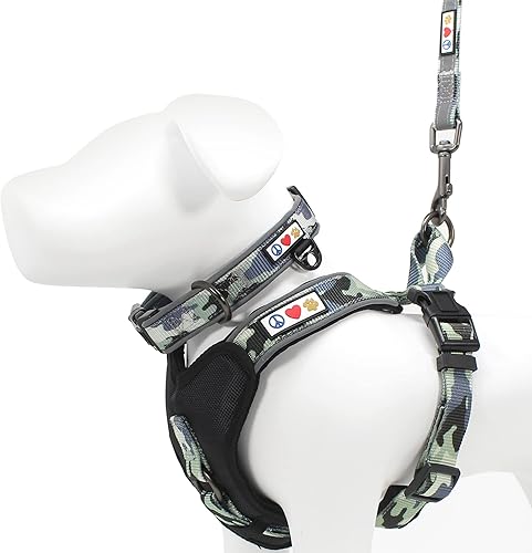 Pawtitas Paquete económico | Arnés acolchado pequeño para perro + collar acolchado pequeño para perro + correa acolchada pequeña, juego de camuflaje