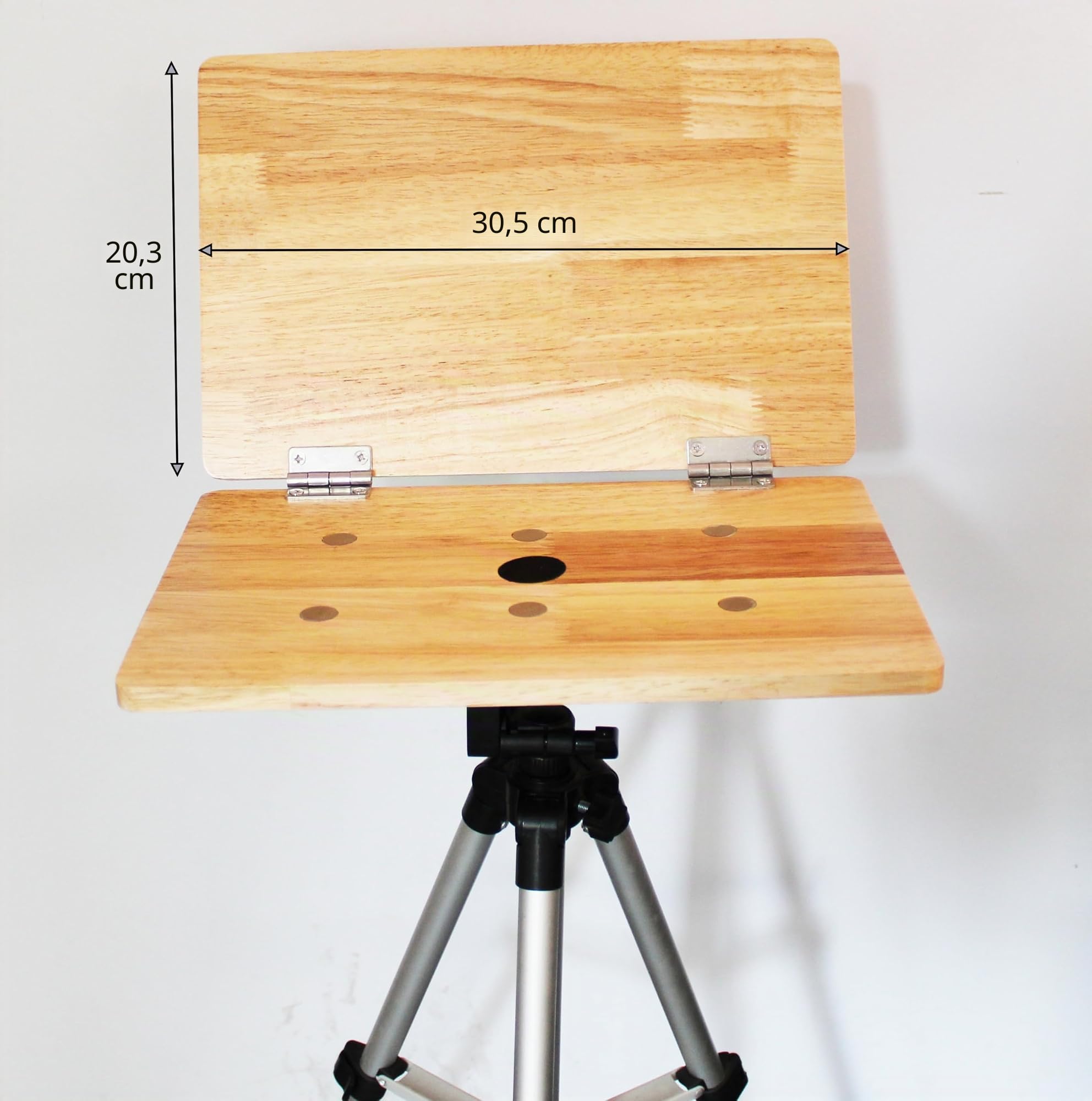 Caballete magnético para bocetos, caballetes de plein air, acuarelista de plein air, caballetes de trípode para cámara, boceto se adapta a un trípode de cámara (caballete y fácil desmontaje)