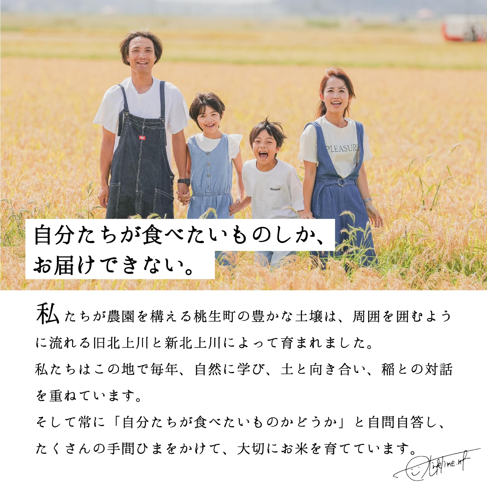 Amazon.co.jp: ササニシキ 宮城県産 白米 10kg 令和7年産 農家直送 単