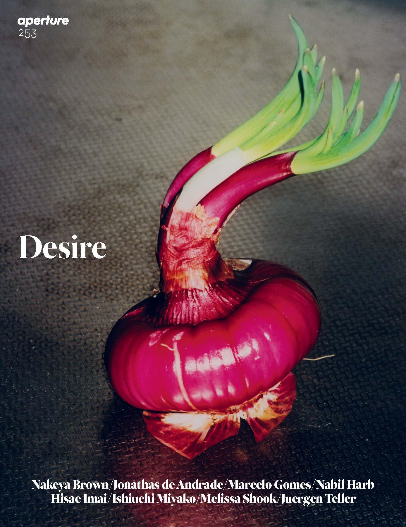 Magazine Aperture 253 That Obscure Object of Desire /anglais