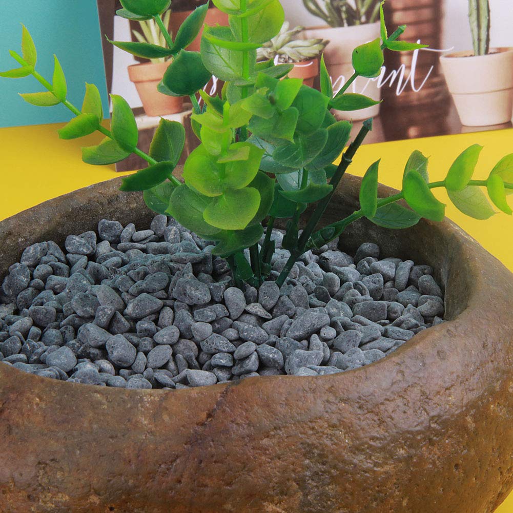 Rocks for Plants, Succulents, Fairy Garden Big 3lb Bulk Bag 5mm