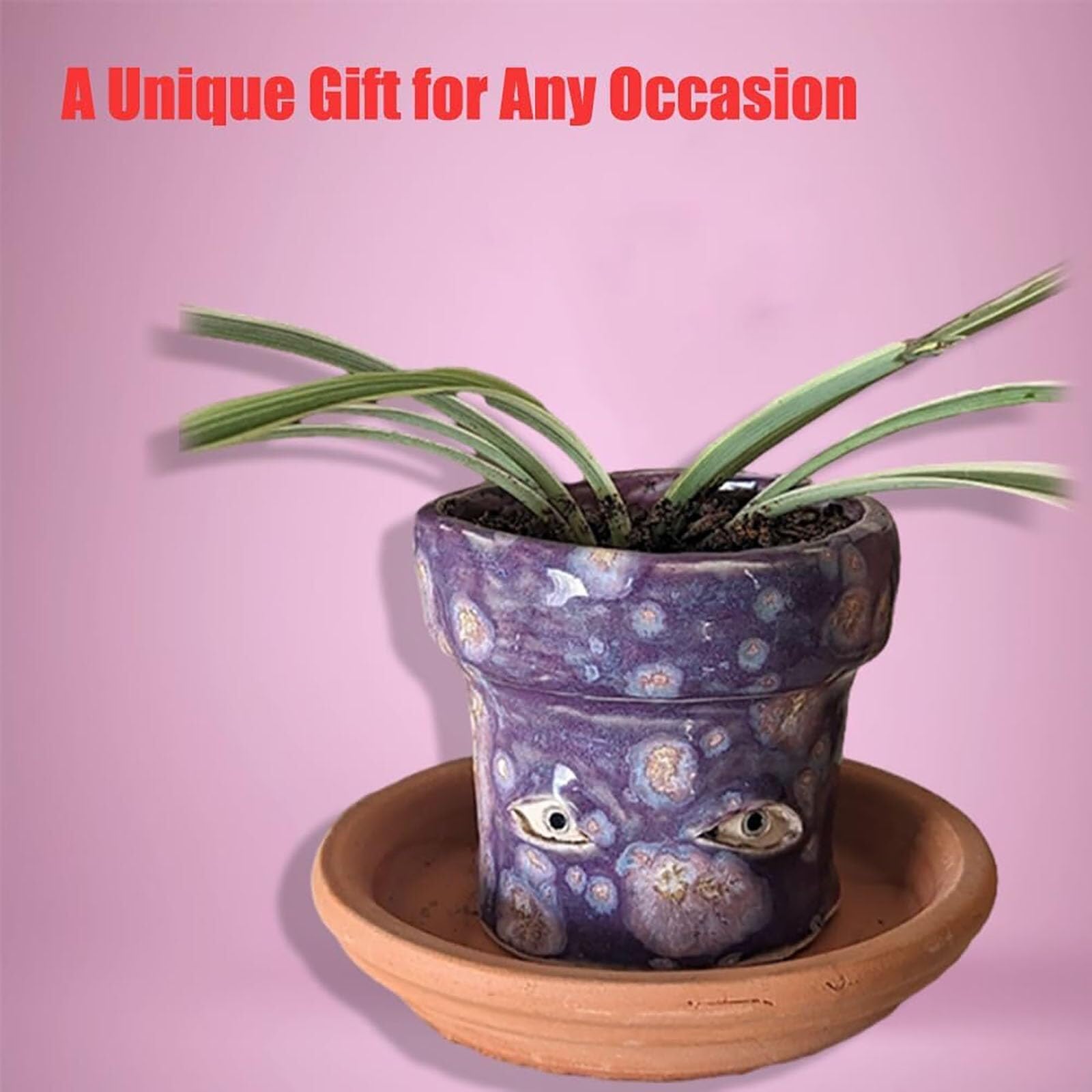Amazon.co.jp: 手作りの泣いている植木鉢 – 喜びの涙を浮かべた面白い