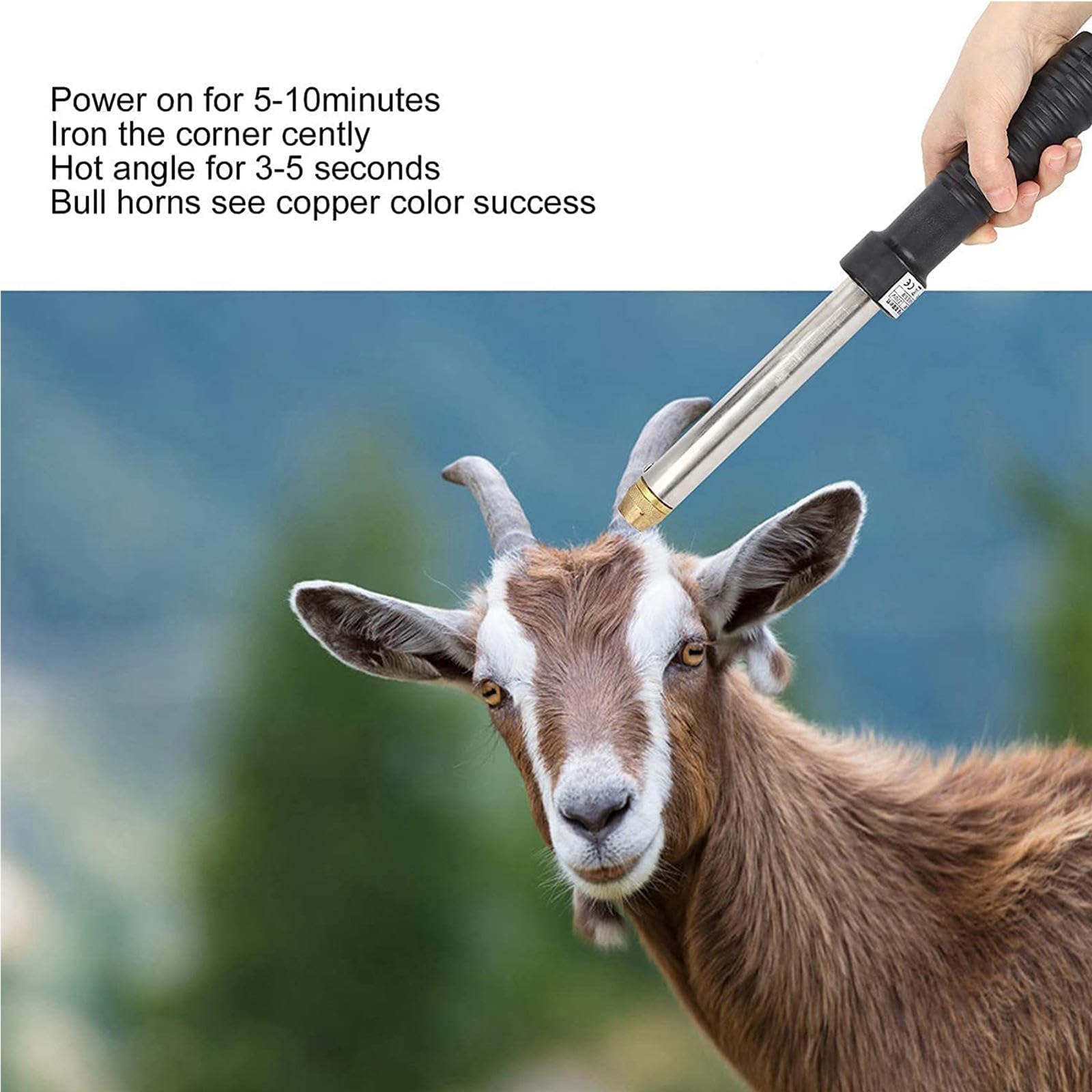 Decornatore Elettrico per Capre, Decornatore Elettrico Indolore per Bovini, Attrezzature Agricole e Attrezzi per L'allevamento di Bovini e Ovini