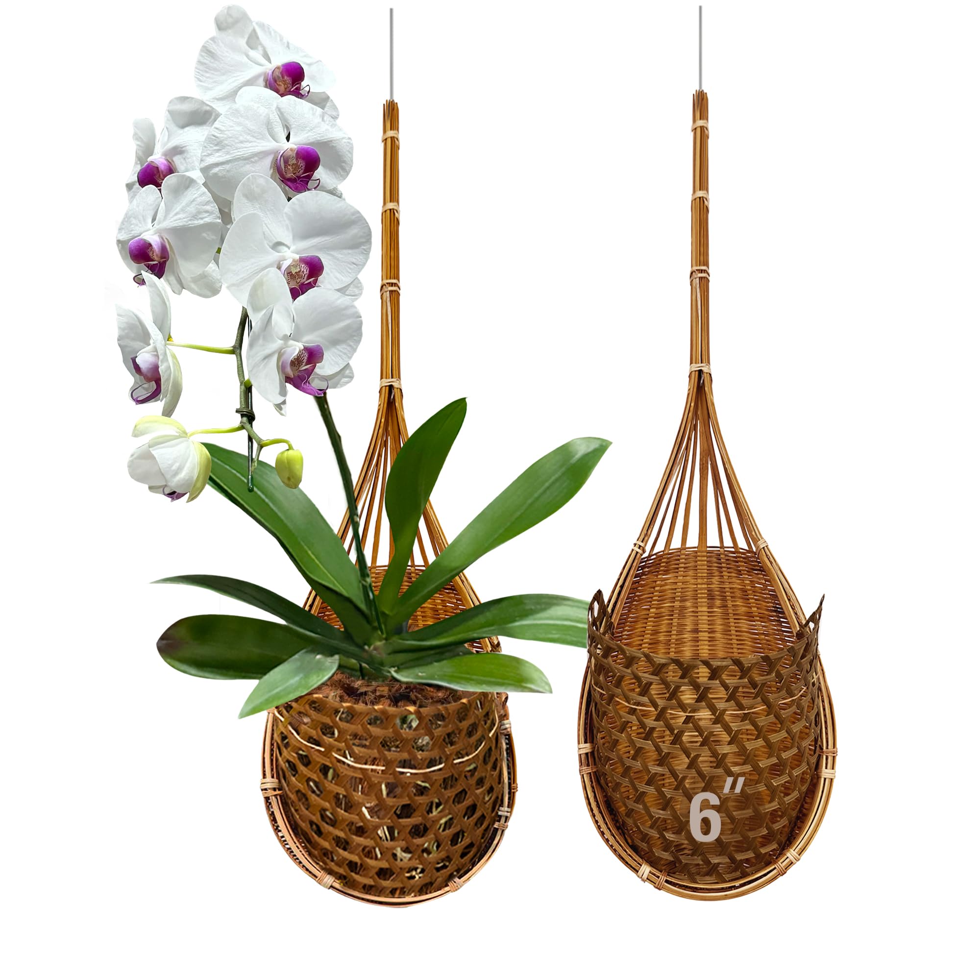 Amazon.com: PANWA Handmade 100% Thai Bamboo Super Sanctuary