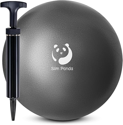 Miniatura 19 de Slim Panda Pelota de Pilates, Pelota de Ejercicio Pequeña de 9 Pulgadas, Mini Pelota de Yoga Antiestallido para Estabilidad, Entrenamiento, Barre, 1