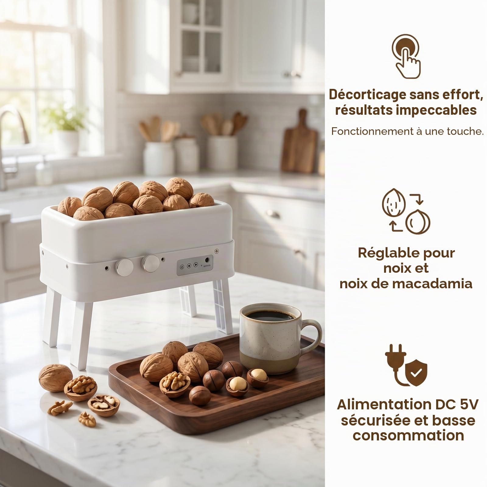 Casse Noix Electrique Casse Noisette électrique automatique robuste pour décortiquer les amandes, les noix de pécan, les noisettes et les noix noires - Pour toutes les noix