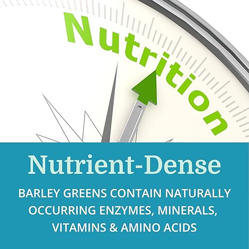 Miniatura 6 de Morter HealthSystem AlkaGreen Tablets (paquete de 3) Mejor proceso alcalino - Suplemento de hierba de cebada orgánica densa en nutrientes - Fuente