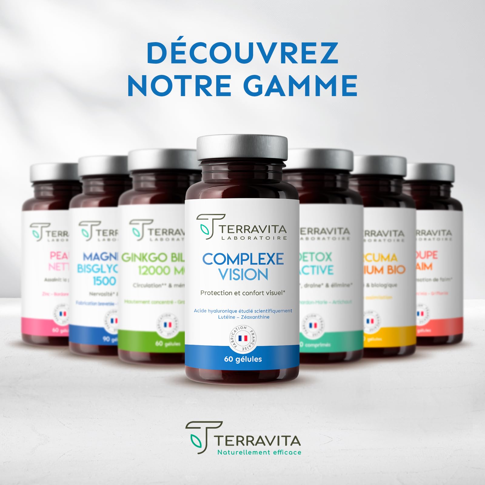 COMPLEXE VISION | Complément Alimentaire Yeux Secs et Fatigués | Acide Hyaluronique Breveté, Lutéine, Zéaxanthine, Myrtille, Vitamines et Zinc Bisglycinate | 60 Gélules | Made in France | Terravita